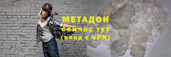 индика Горнозаводск